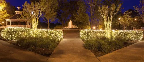 Christmas and Year Round Ideas for Decorating With Net Lights