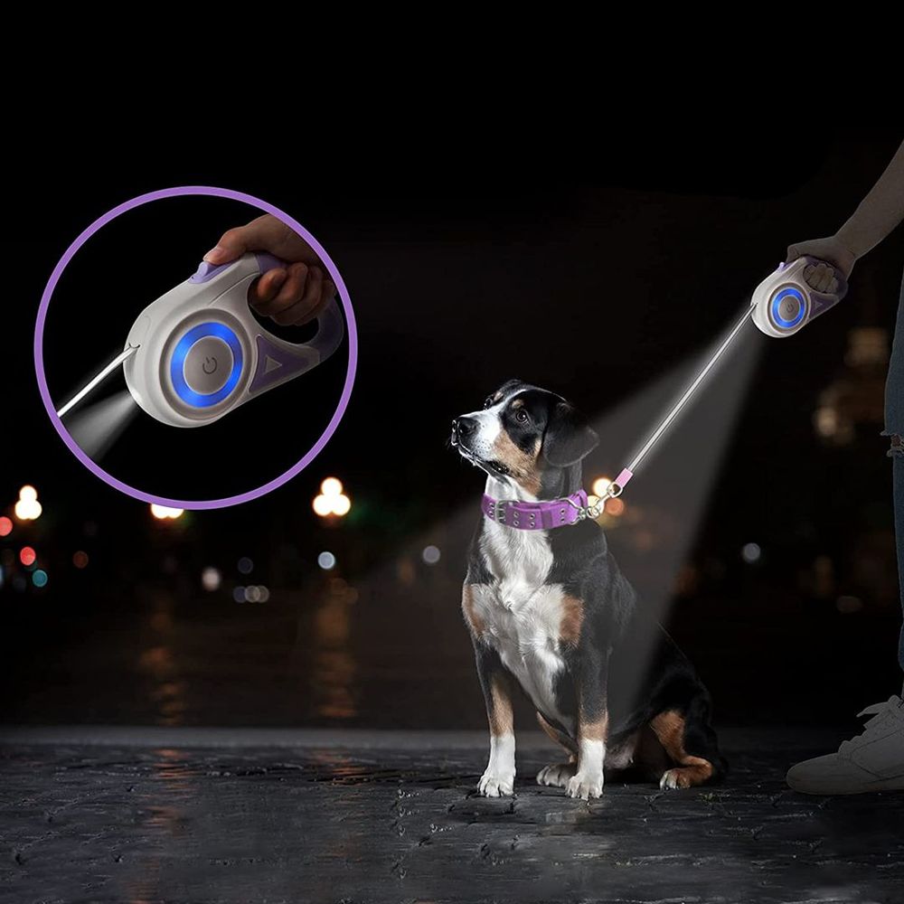 Lighted Dog Leash👉 Perfect For Owners Who Often Walk In The Evenings