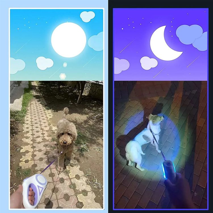 Lighted Dog Leash👉 Perfect For Owners Who Often Walk In The Evenings