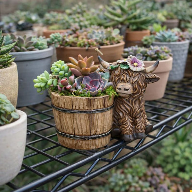 🌸 Adorable Highland Cow Succulent Planter – A Heartfelt Mother’s Day Gift