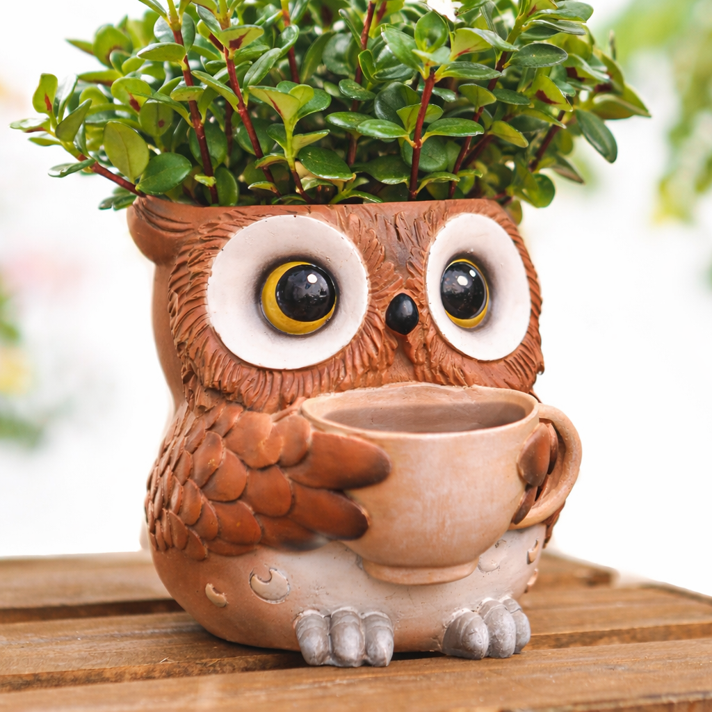 Unique Owl Plant Pots