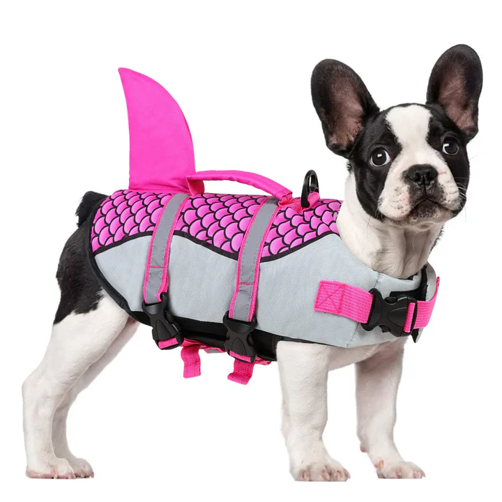 dog life jacket