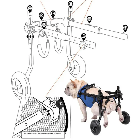 wheelchair for dogs Hind Leg Mobility Assistance for Small and Middle dogs