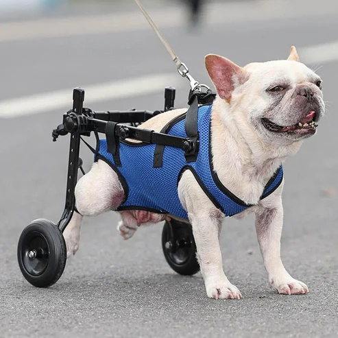 wheelchair for dogs Hind Leg Mobility Assistance for Small and Middle dogs