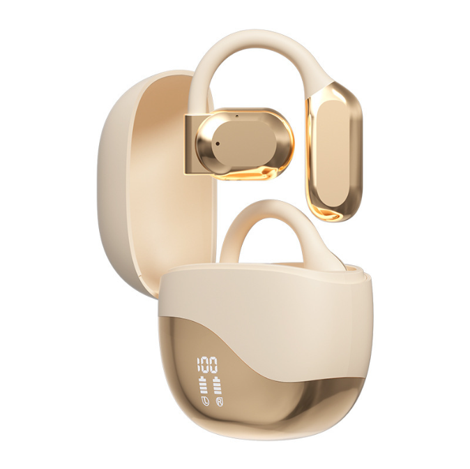 Real Time Language Translator Earbud 