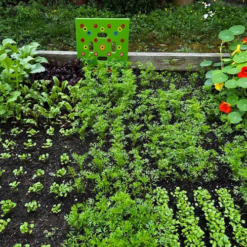 Seeding Square - Seed and Seedling Spacer Tool