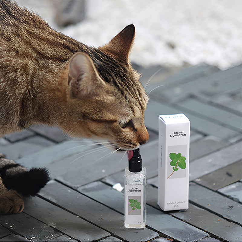 Catnip Liquid Spray - Safe, Pure, and Potent