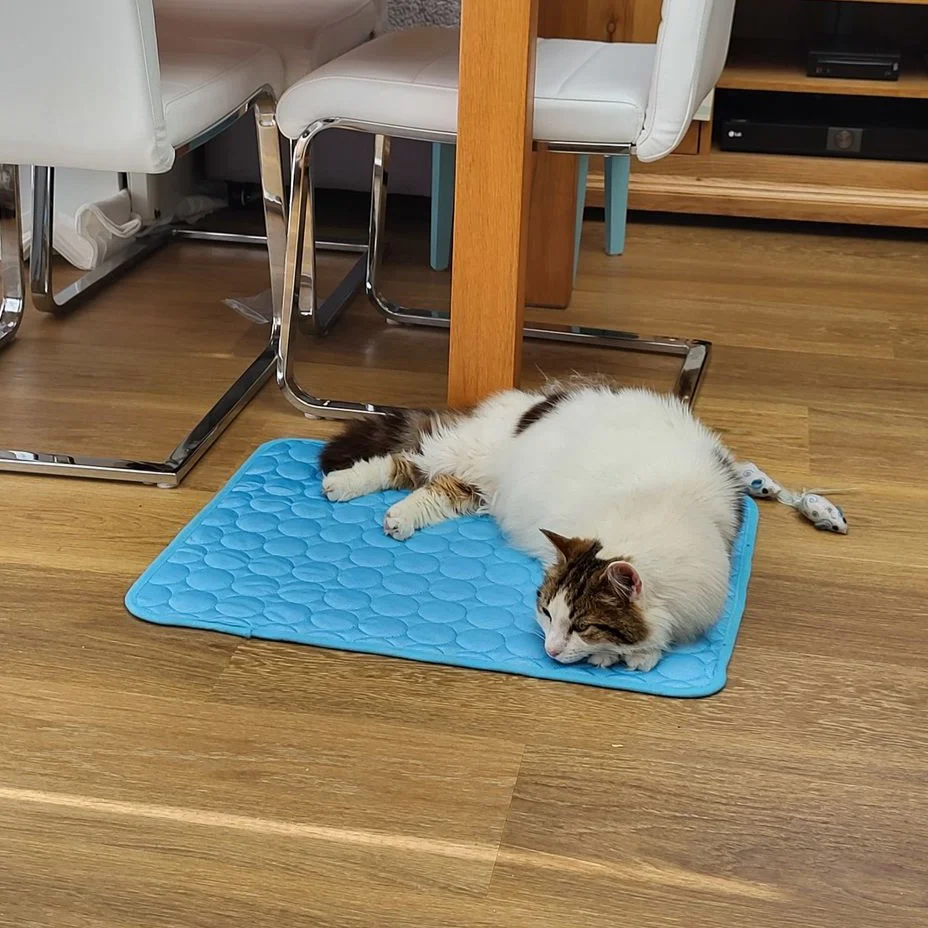 Petsboro™ Pet Cooling Summer Mat