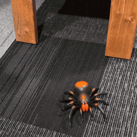 Realistic infrared remote-controlled spider with remote control