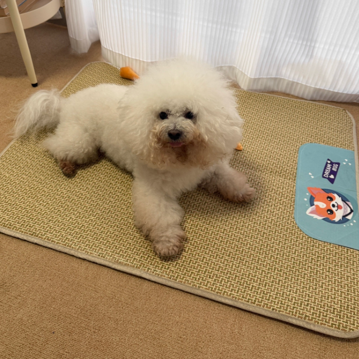 Summer Natural Rattan Straw Cooling Pet Mat for Dogs