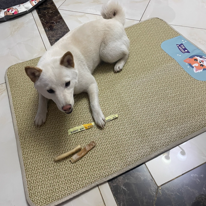 Summer Natural Rattan Straw Cooling Pet Mat for Dogs