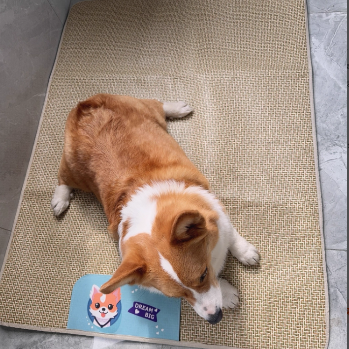 Summer Natural Rattan Straw Cooling Pet Mat for Dogs