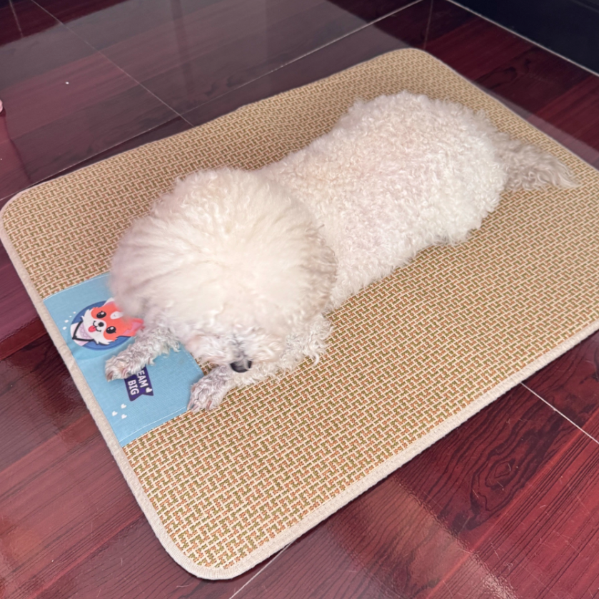 Summer Natural Rattan Straw Cooling Pet Mat for Dogs
