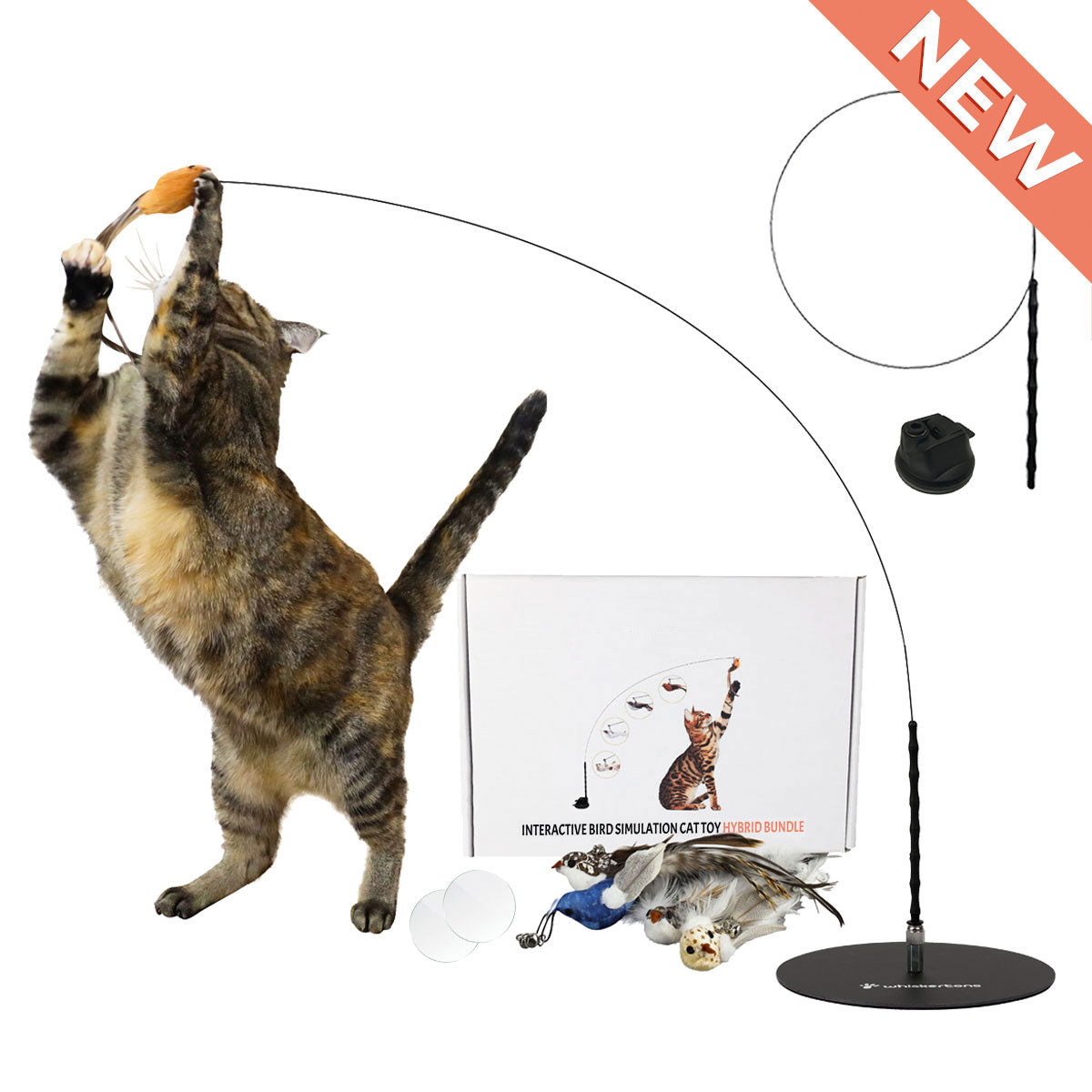 Interactive Bird Simulation Cat Toy Set