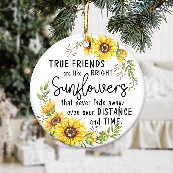 💝2023 Friendship Ornament Gift--"I Wish You Lived Next Door"💝