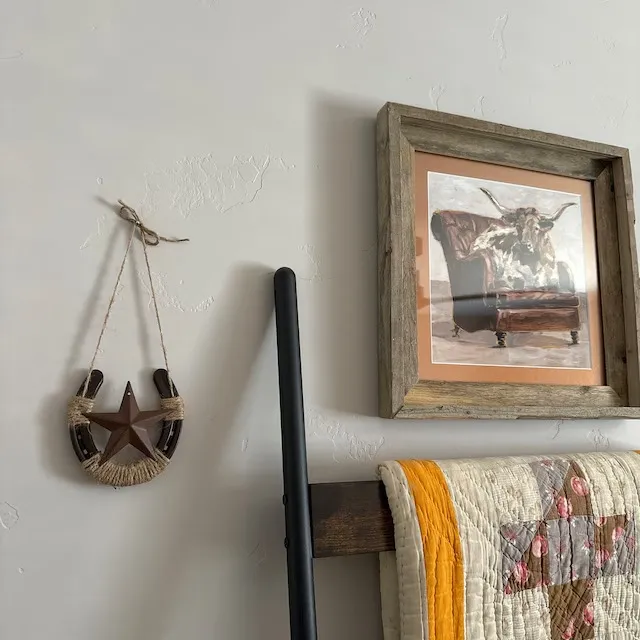 Horseshoe Wall Decor