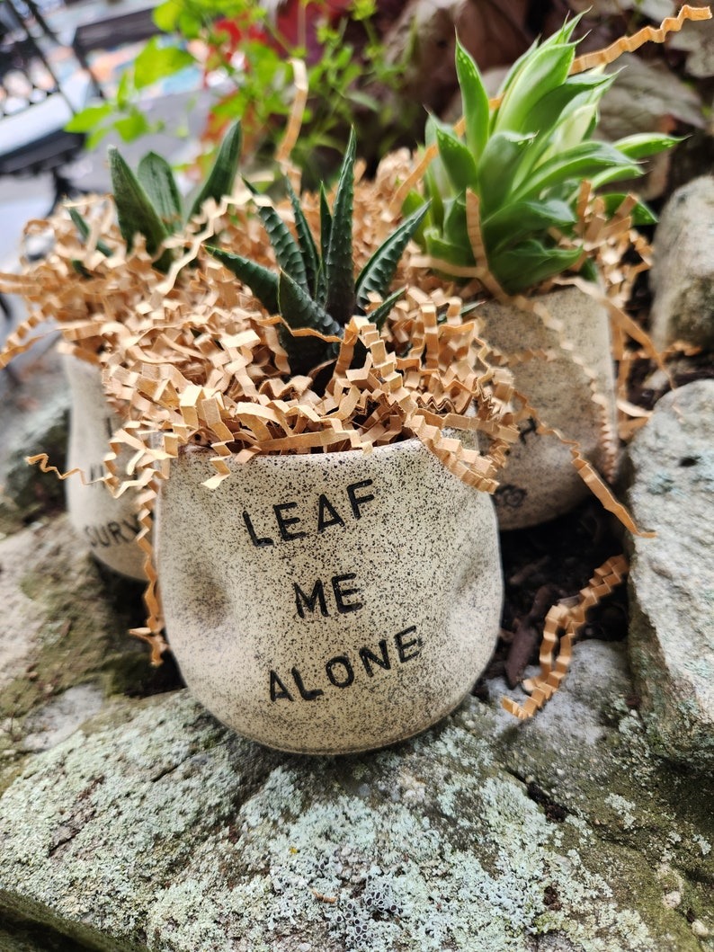 🤪Funny Succulent Pot