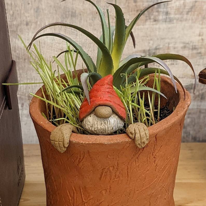 Gnome Plant Buddy