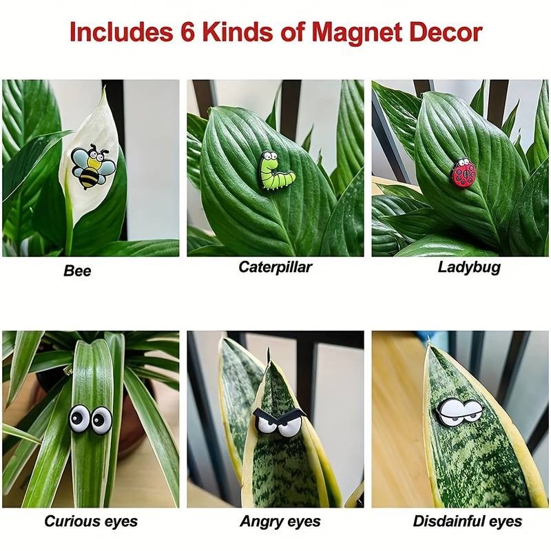 🐝🤣Funny Plant Magnets Eyes Pins for Potted Plant🤣🐝