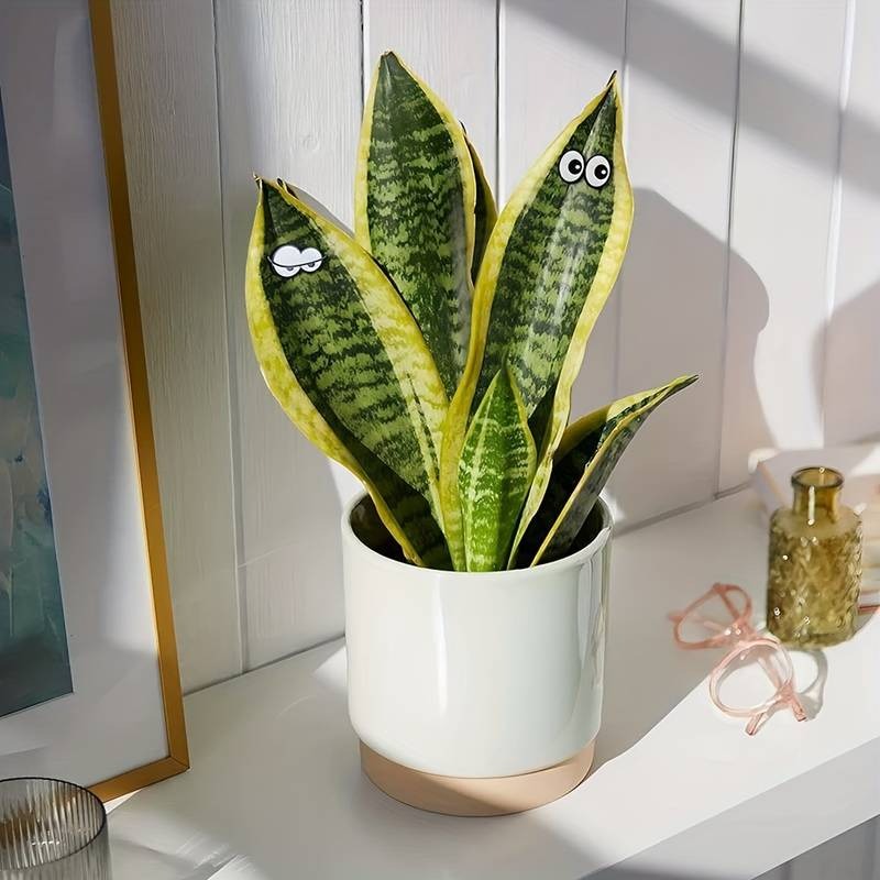 🐝🤣Funny Plant Magnets Eyes Pins for Potted Plant🤣🐝