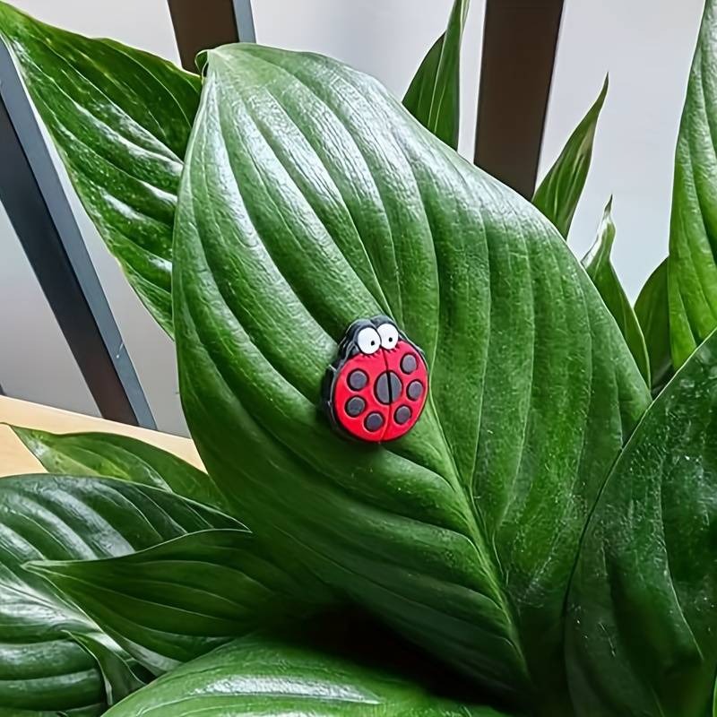 🐝🤣Funny Plant Magnets Eyes Pins for Potted Plant🤣🐝