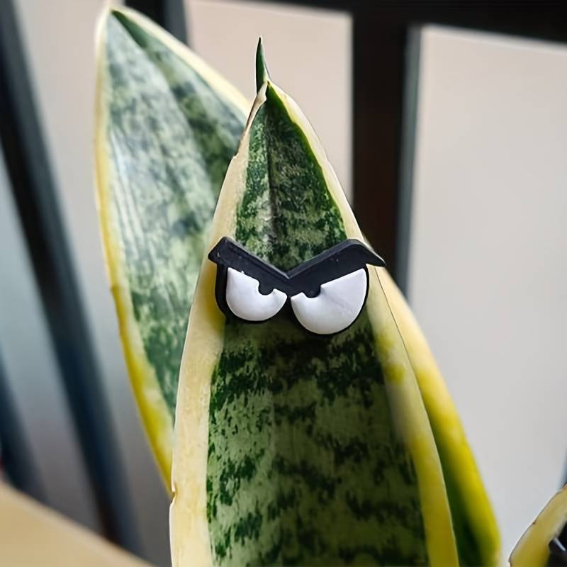 🐝🤣Funny Plant Magnets Eyes Pins for Potted Plant🤣🐝