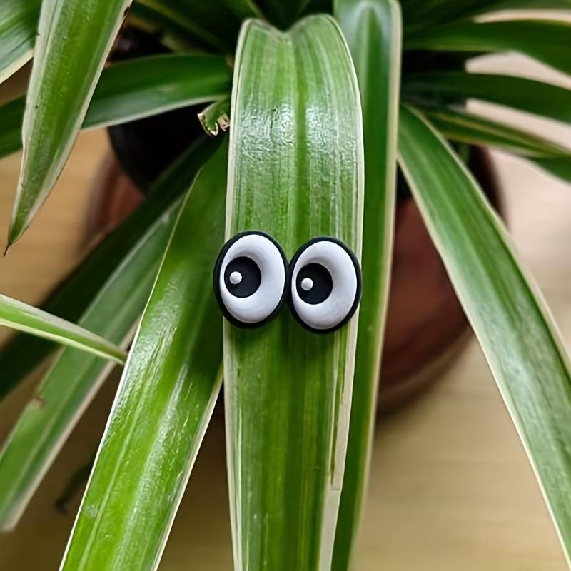 🐝🤣Funny Plant Magnets Eyes Pins for Potted Plant🤣🐝