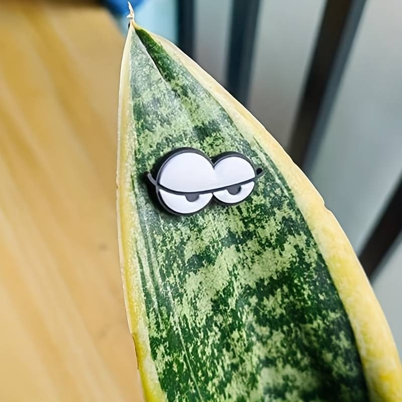 🐝🤣Funny Plant Magnets Eyes Pins for Potted Plant🤣🐝