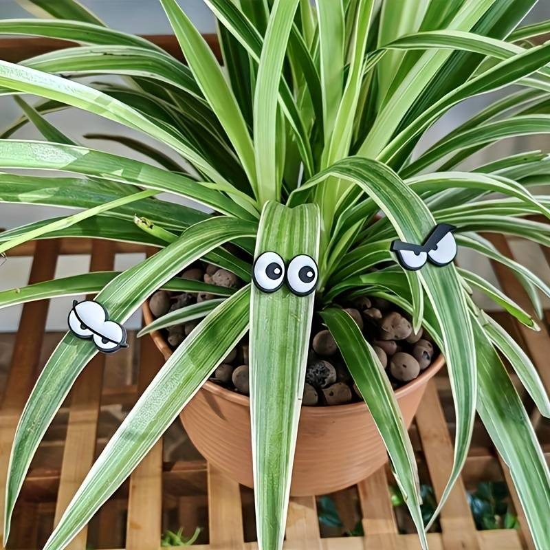 🐝🤣Funny Plant Magnets Eyes Pins for Potted Plant🤣🐝