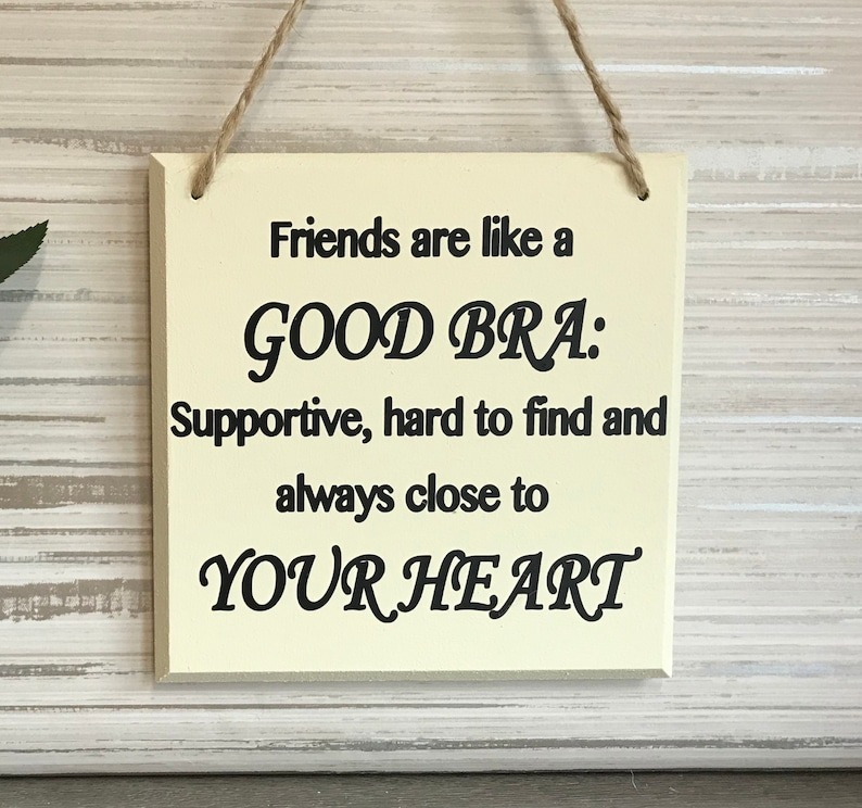 Funny Friend Wall Hanging
