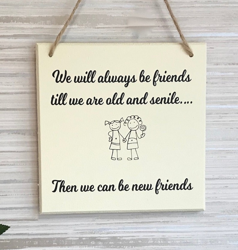 Funny Friend Wall Hanging
