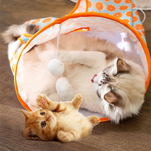 Foldable Self Interactive Cat Tunnel