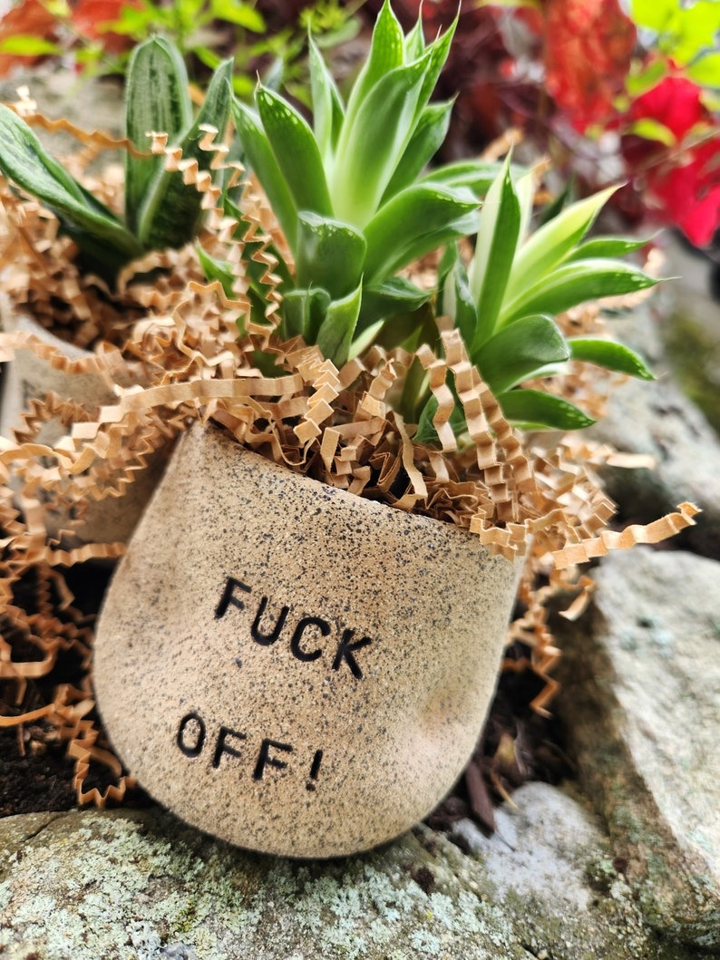 🤪Funny Succulent Pot