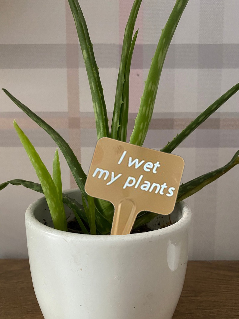 🌼Funny Plant Markers🌼