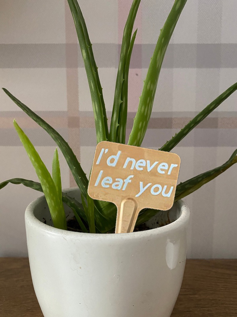🌼Funny Plant Markers🌼