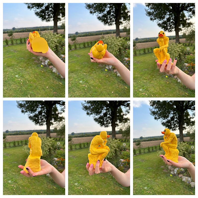 ✨New Funny Thinker Middle Finger Duck🖕🎁