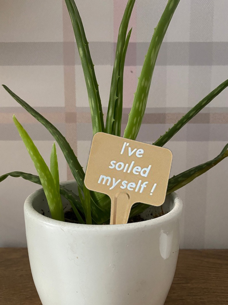 🌼Funny Plant Markers🌼