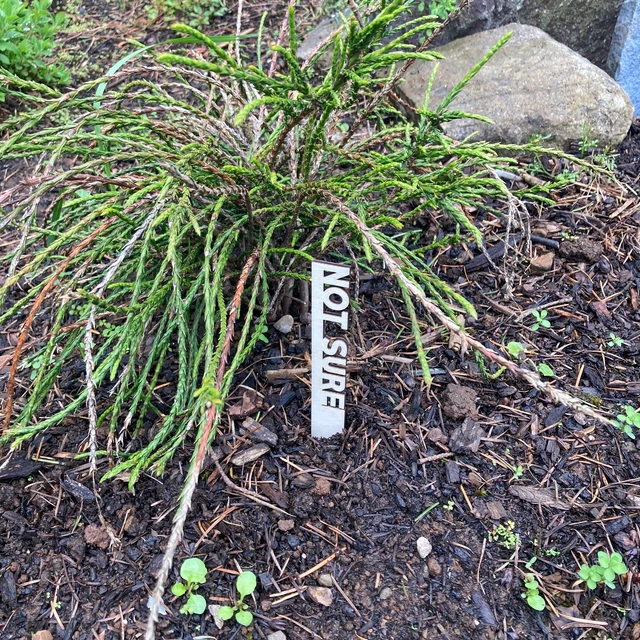 🌻Interesting Plant Markers - Christmas Gifts for Gardeners🎄