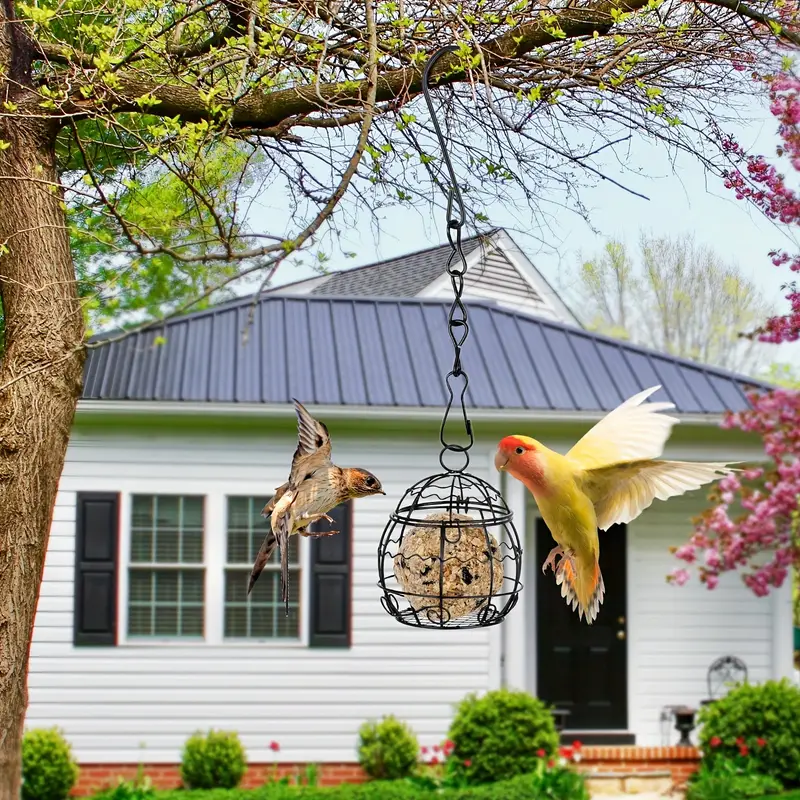 🏡Outdoor Pet Food Dispenser🐦