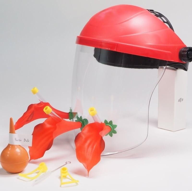 🔥Mother's Day Hot Sale - Beautiful Hummingbird Feeding Mask