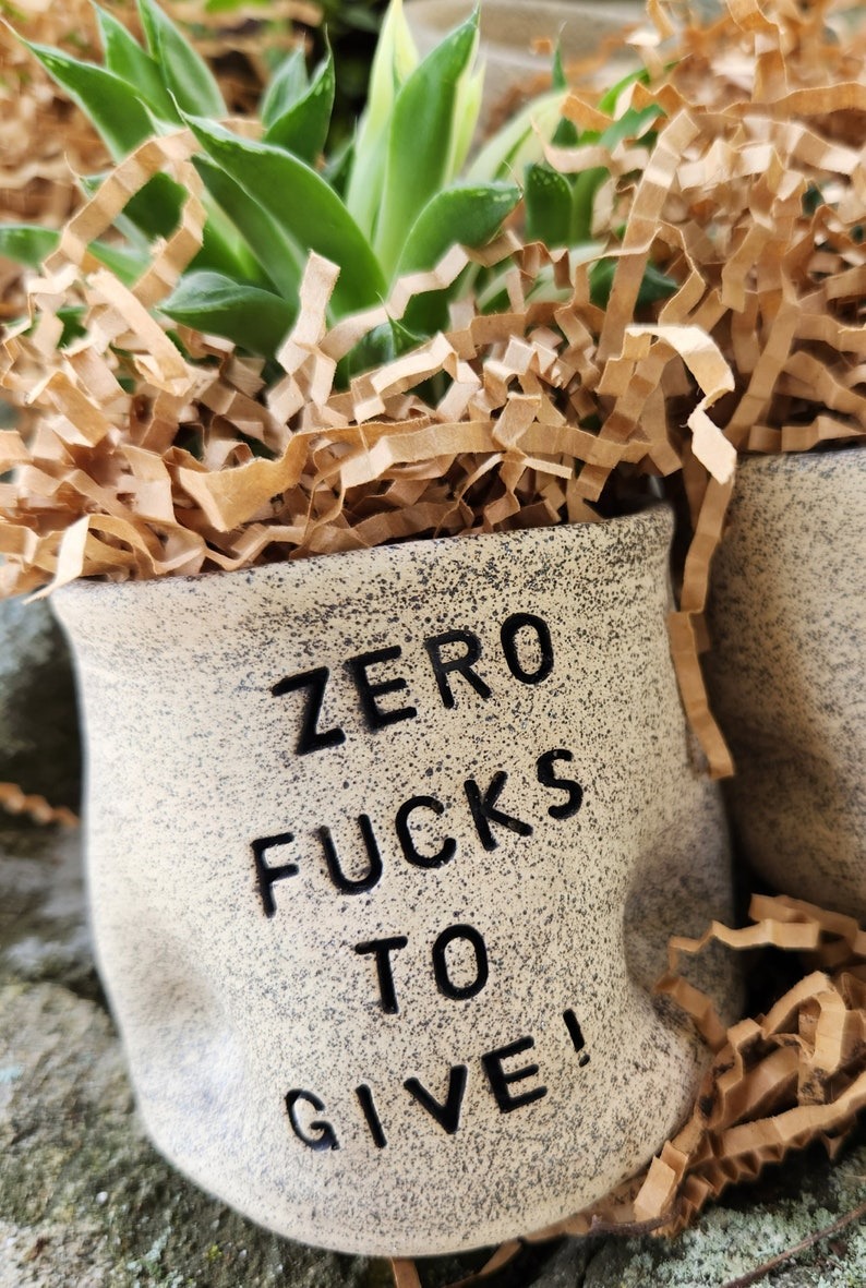🤪Funny Succulent Pot