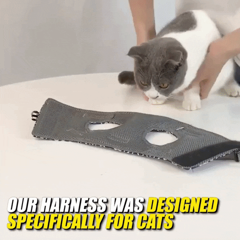 🔥Cat Dogs Vest Harness and Leash Anti-break Away Chest Strap Cat Clothes👍