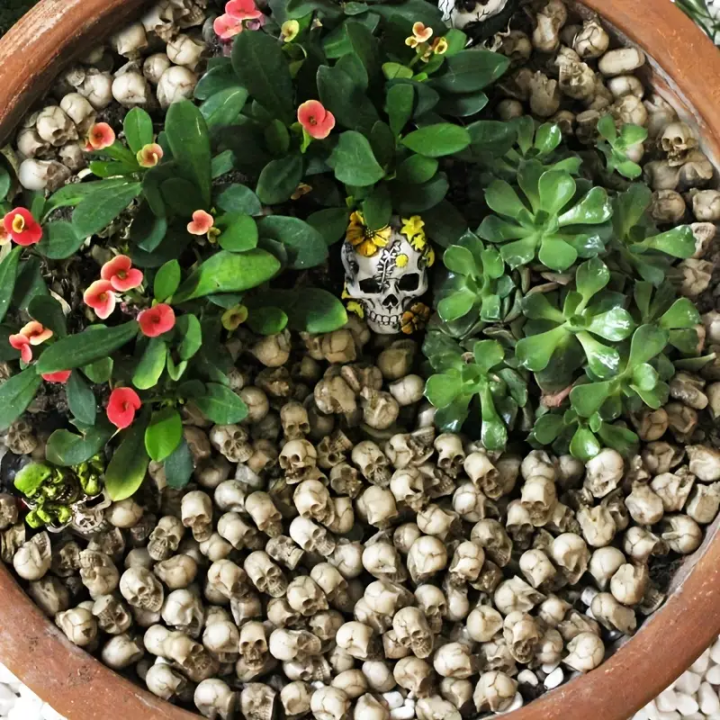 💀 Halloween Sale - 50% OFF 🔥 Flowerpot Mini Skull Set(20 PCS)