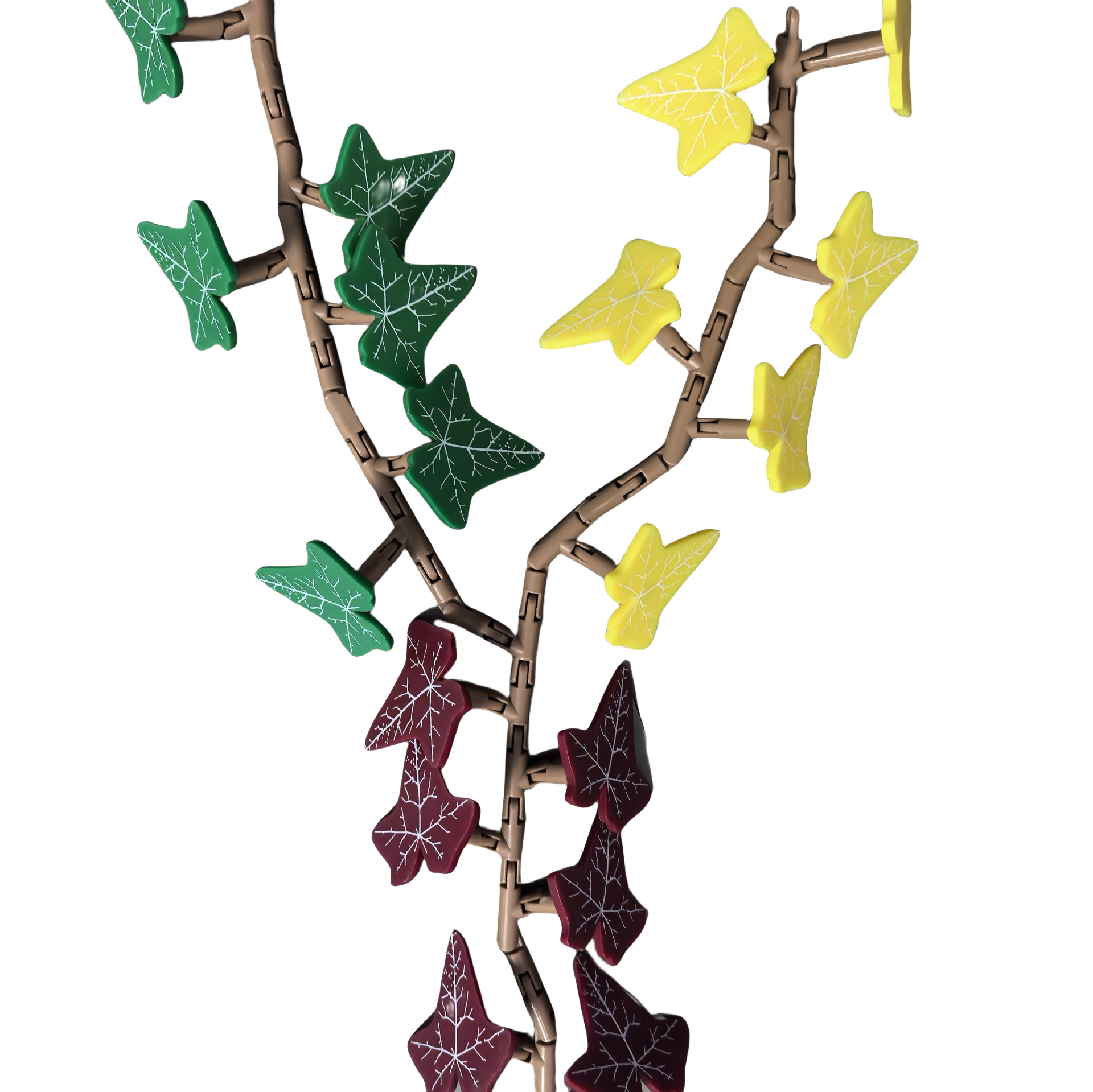 🍃Ivy Fridge Magnet