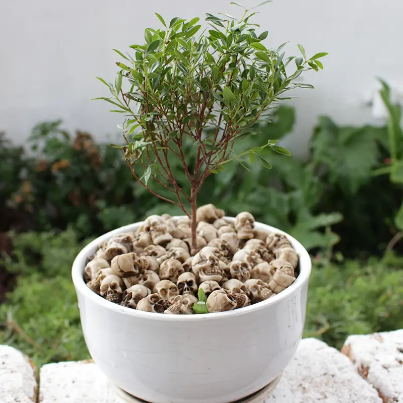 💀 Halloween Sale - 50% OFF 🔥 Flowerpot Mini Skull Set(20 PCS)