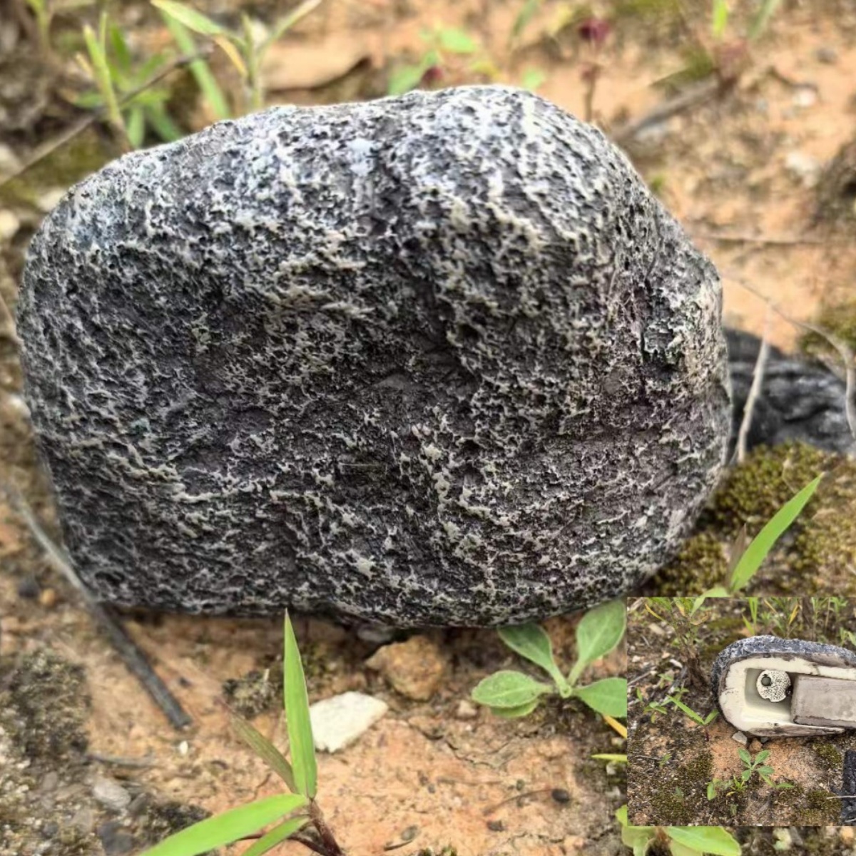 Garden ornament - Hiding Keys and Money