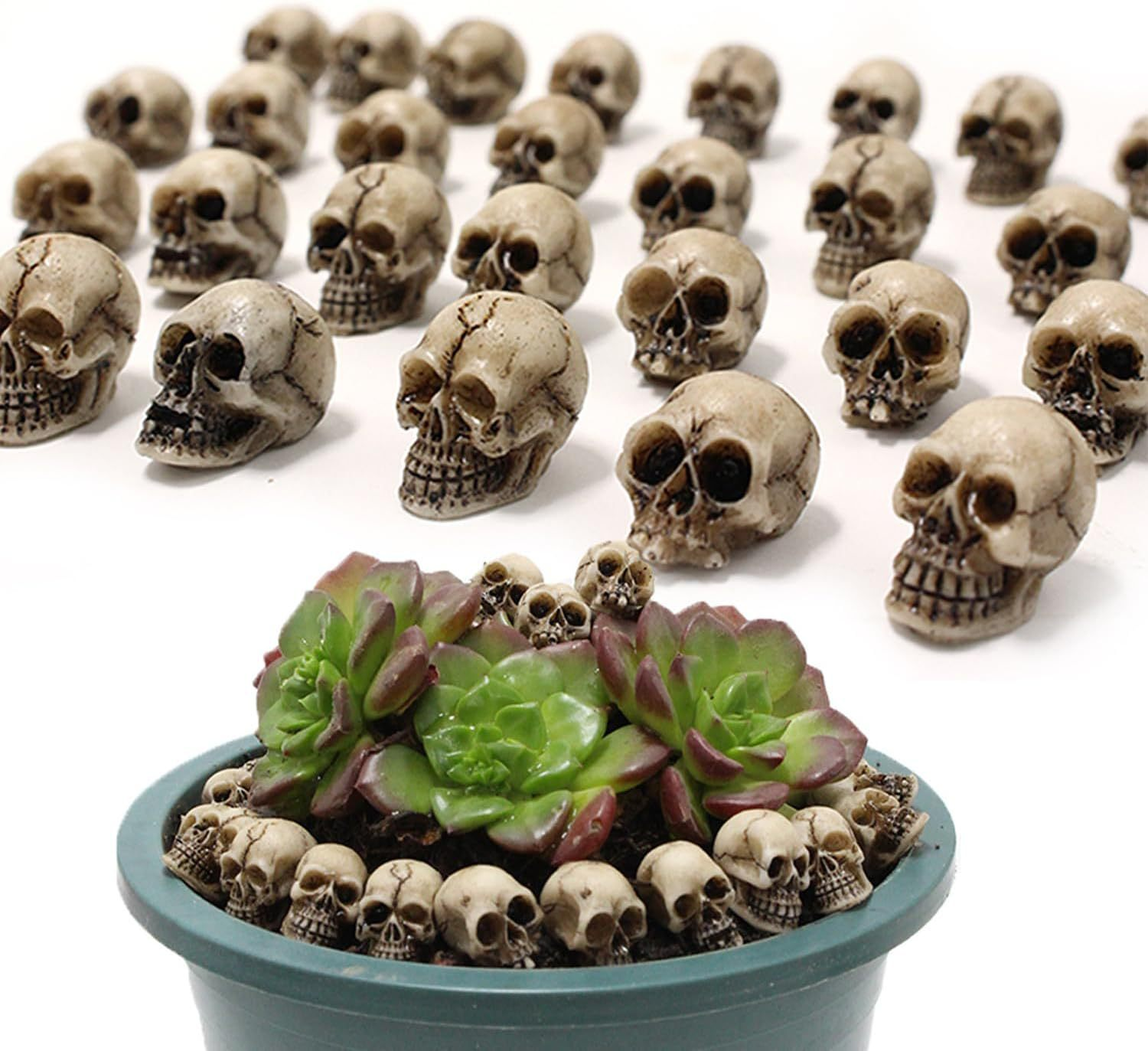 💀 Halloween Sale - 50% OFF 🔥 Flowerpot Mini Skull Set(20 PCS)