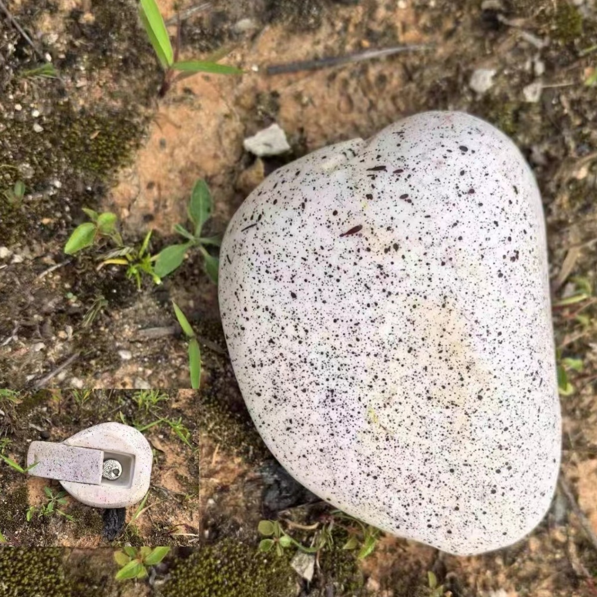 Garden ornament - Hiding Keys and Money