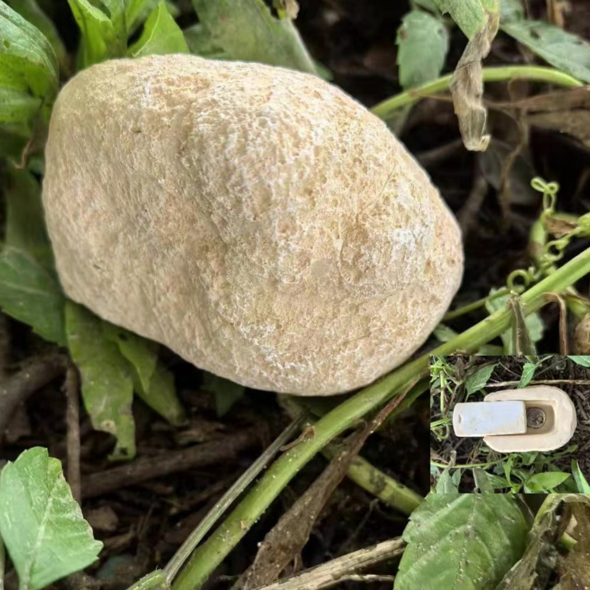 Garden ornament - Hiding Keys and Money