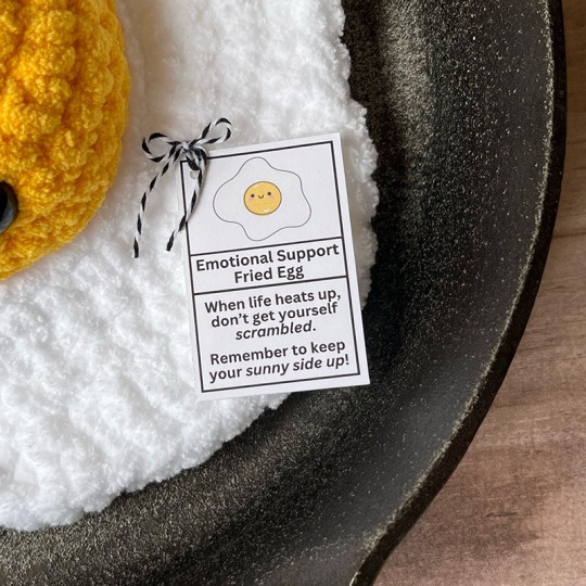 🌮Emotional Support Taco